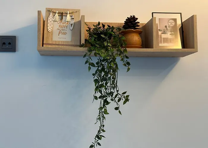 Luxury Oasis In Absolute Center Of *