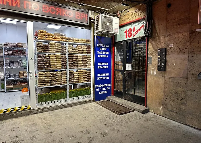 Luxury Oasis In Absolute Center Of Διαμέρισμα *