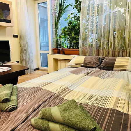 Luxury Oasis In Absolute Center Of *