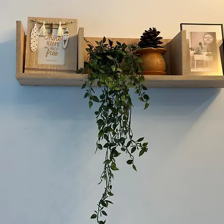 Luxury Oasis In Absolute Center Of *