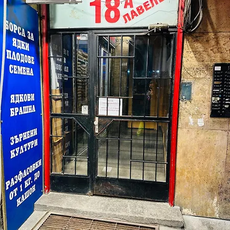 Luxury Oasis In Absolute Center Of Sofie