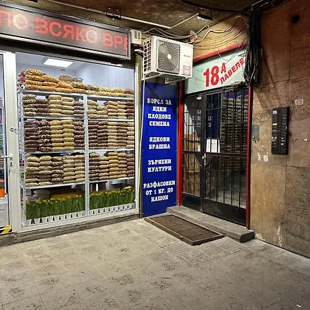 Luxury Oasis In Absolute Center Of Apartmán *