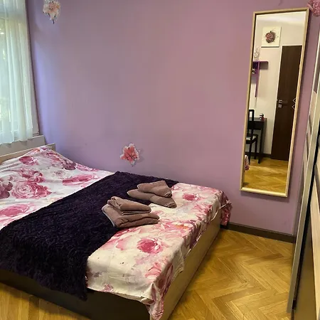 Luxury Oasis In Absolute Center Of